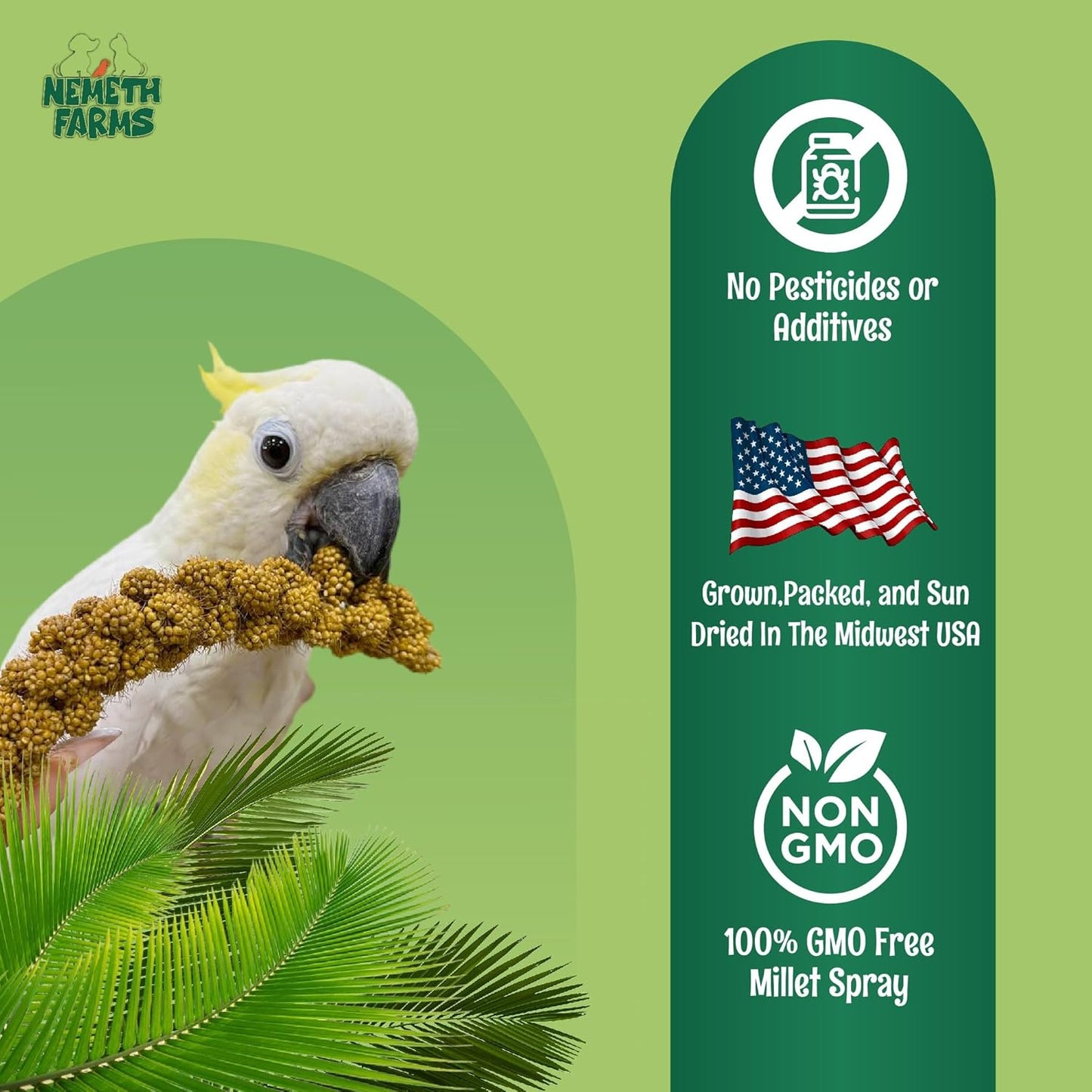 Nemeth Farms–Natural Sun Dried Millet Spray for Pet Birds–Bulk Parrot Seed Treats and Parrot Food–Natural Non GMO Millet Spray–Cockatiels Lovebirds Parakeet 2 lbs.