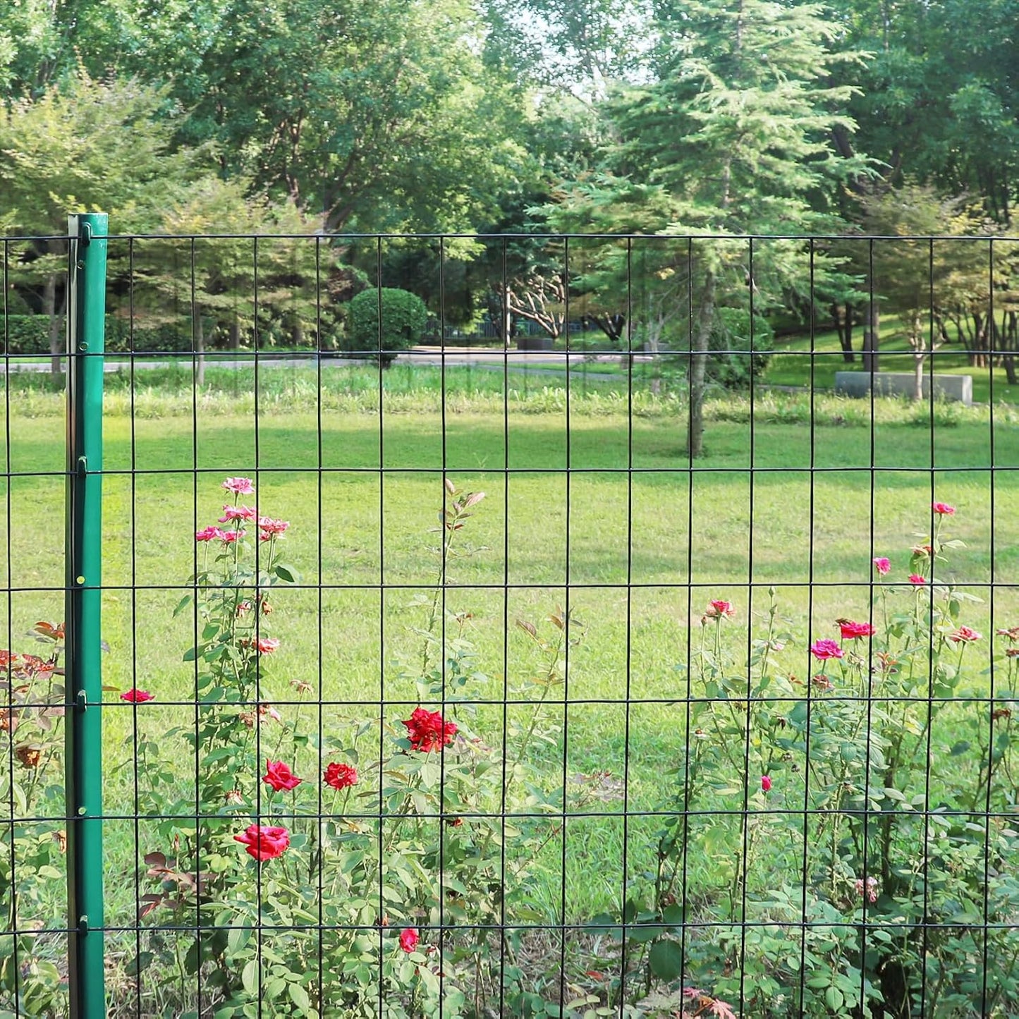 Black PVC Coated Welded Wire Fence 24 Inch x 50 Foot, 2 Inch x 4 Inch 15GA, Garden Border Fencing Roll Vinyl Coating Metal Wire Mesh Hardware Cloth for Yard Vegetable Plant Protection