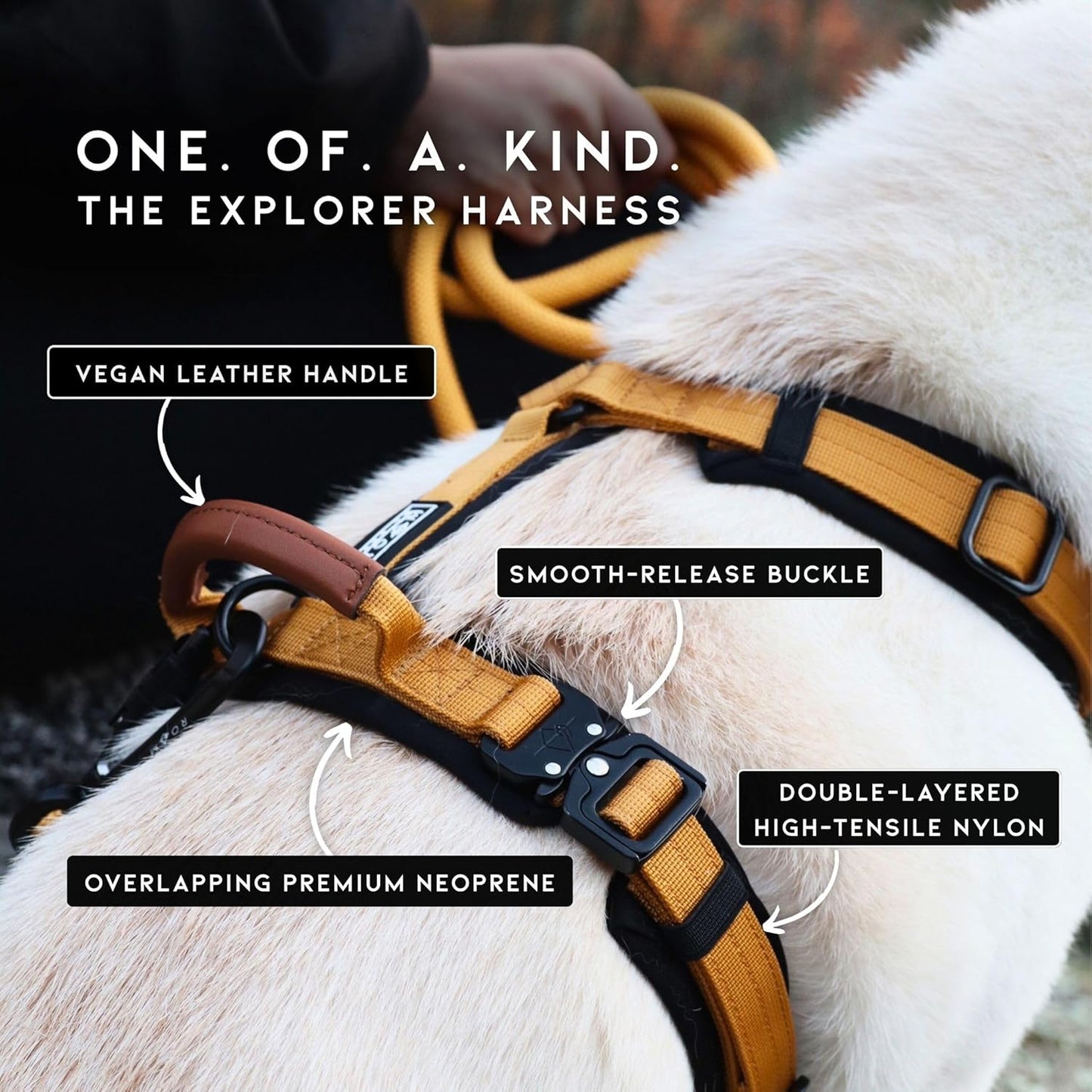 MADE TO ROAM Premium Explorer Harness - Y-Shaped Dog Harness with Adjustable Durable Nylon, Soft Padding, Metal Buckles and Leather Handle for Small, Medium, Large Dogs (Oregon Haze, Size 7)