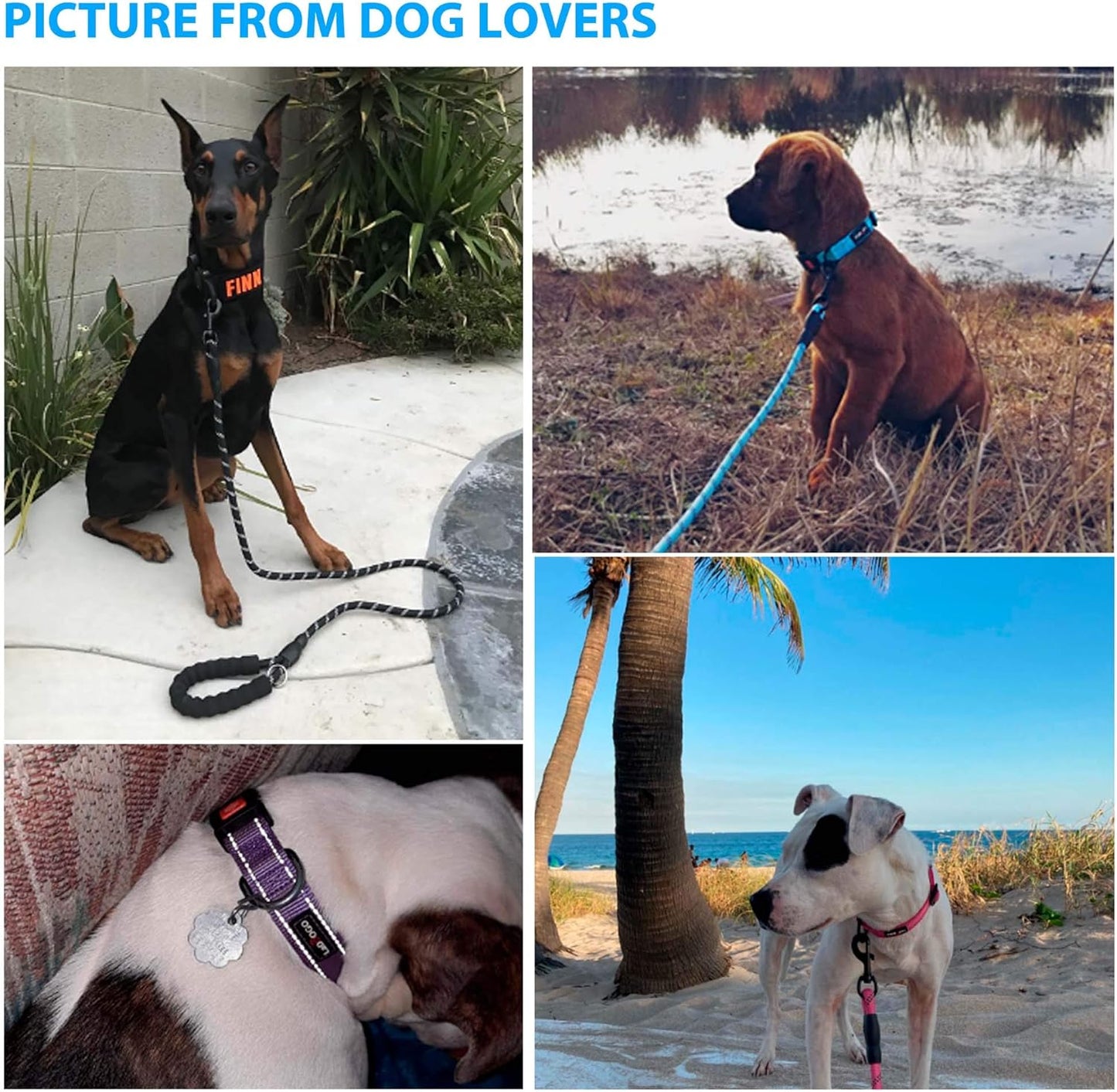 Heavy Duty Dog Leash - Comfortable Padded Handle, 5 ft Long - Dog Leashes for Small Medium Large Dogs (Leash+Collar M Neck 16"-20", Red)