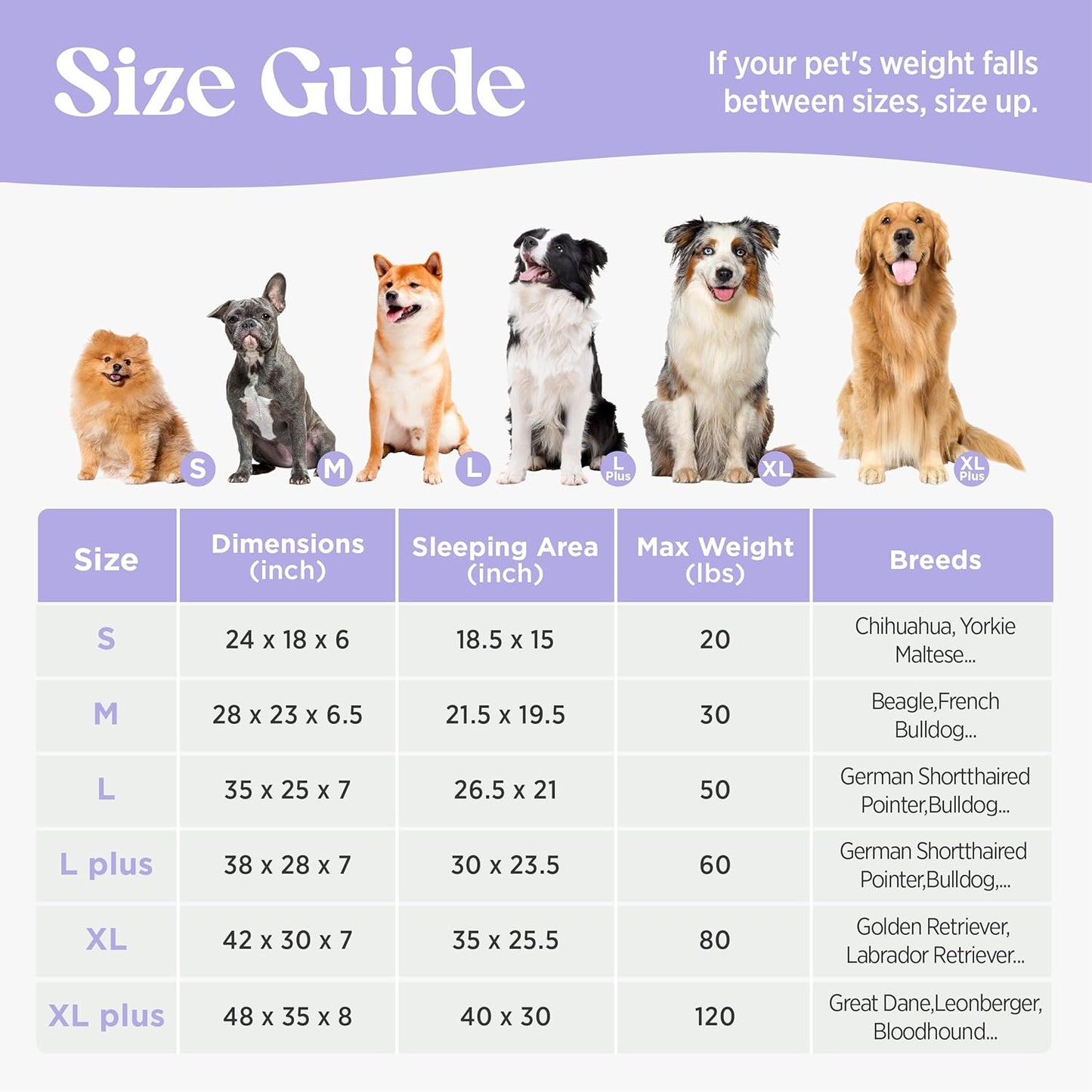 LE SURE Cute Dog Bed Medium Size Dog, Orthopedic Waterproof Medium Pet Beds with Sides, Non-Slip Bottom and Egg-Crate Foam Pet Couch Sofa with Washable Removable Cover, Grey