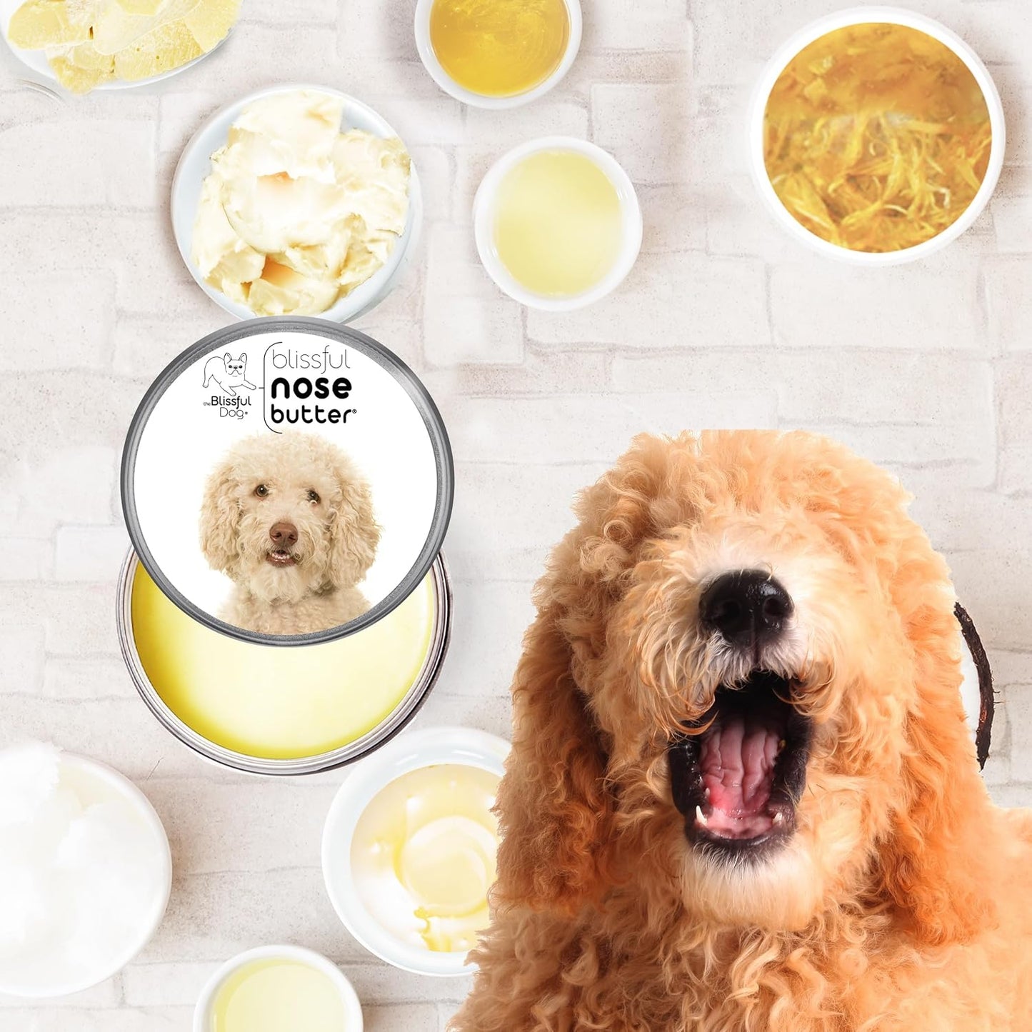 The Blissful Dog Goldendoodle Nose Butter for Dry, Cracked Skin, Lick-Safe Dog Nose Balm with Moisturizing Shea Butter, Almond, Olive, and Essential Oils, Pet Supplies, Uncented, 8 oz.
