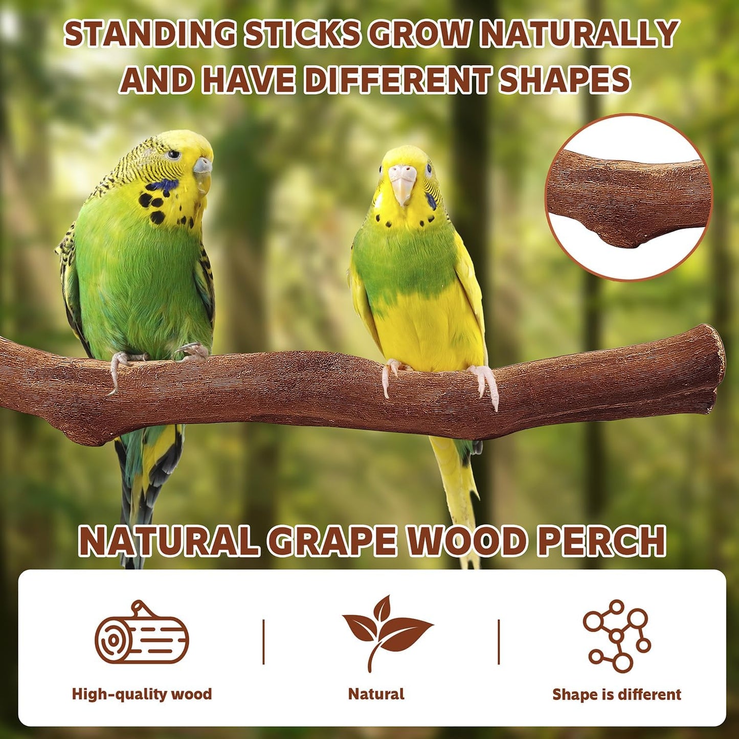 5PCS Bird Perch Stand Natural Wooden Parrot Stand Branch,3 Grape Wood Perch,2 Platform,Paw Grinding Fork Parakeet Chewing Stick Exercise Training Branches for Cockatiels,Small Birds