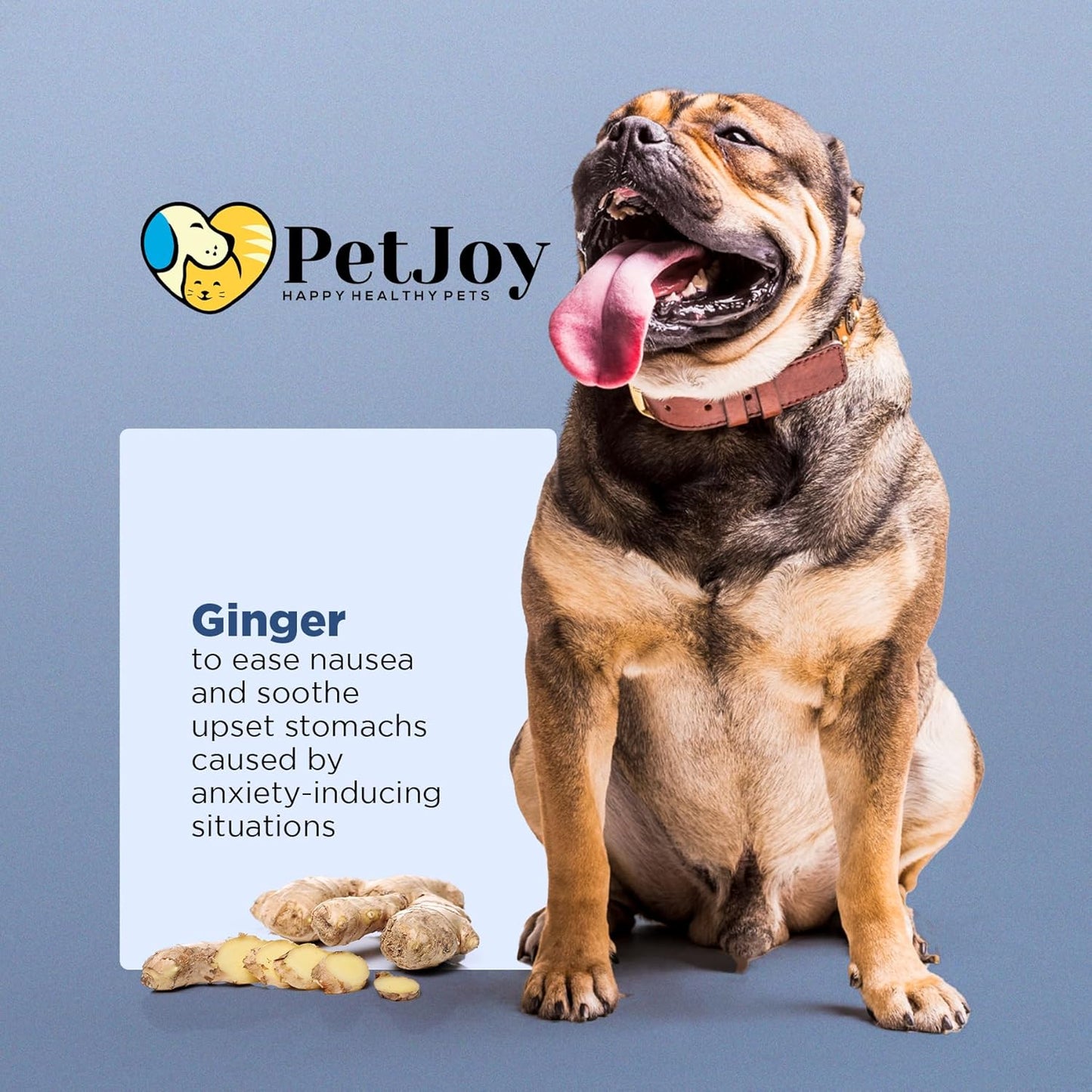 PetJoy Hemp Calming Chews for Dogs Relaxation Separation Anxiety Relief - Hemp Gummies for Calm Dog Sleep Aid for Puppies with Chamomile (60 Bacon Calming Treats)