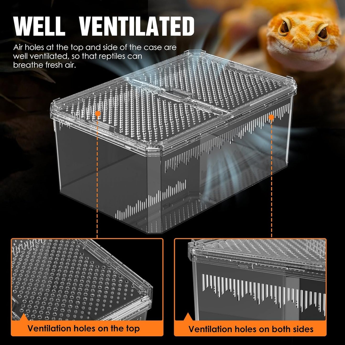 Breathable and Secure Reptile Tank with high Transparency - Ideal Container House for Hermit Crab, Tarantula Enclosure, Turtle Tank or Jumping Spider Habitat (M)
