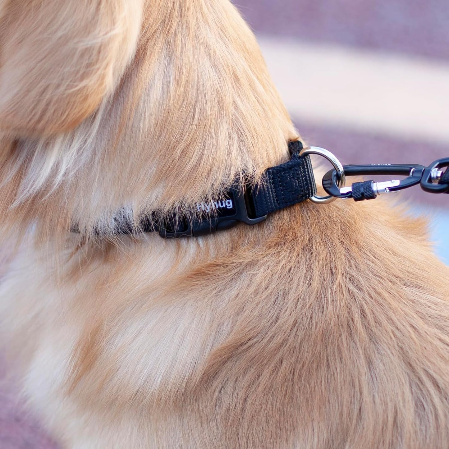 Hyhug Dog Collar for Large Dogs, Heavy Duty Black| Quick Release Nylon Buckle Collar, Adjustable & Durable Pet Supplies for Boy & Girl Dogs (Large, Black)