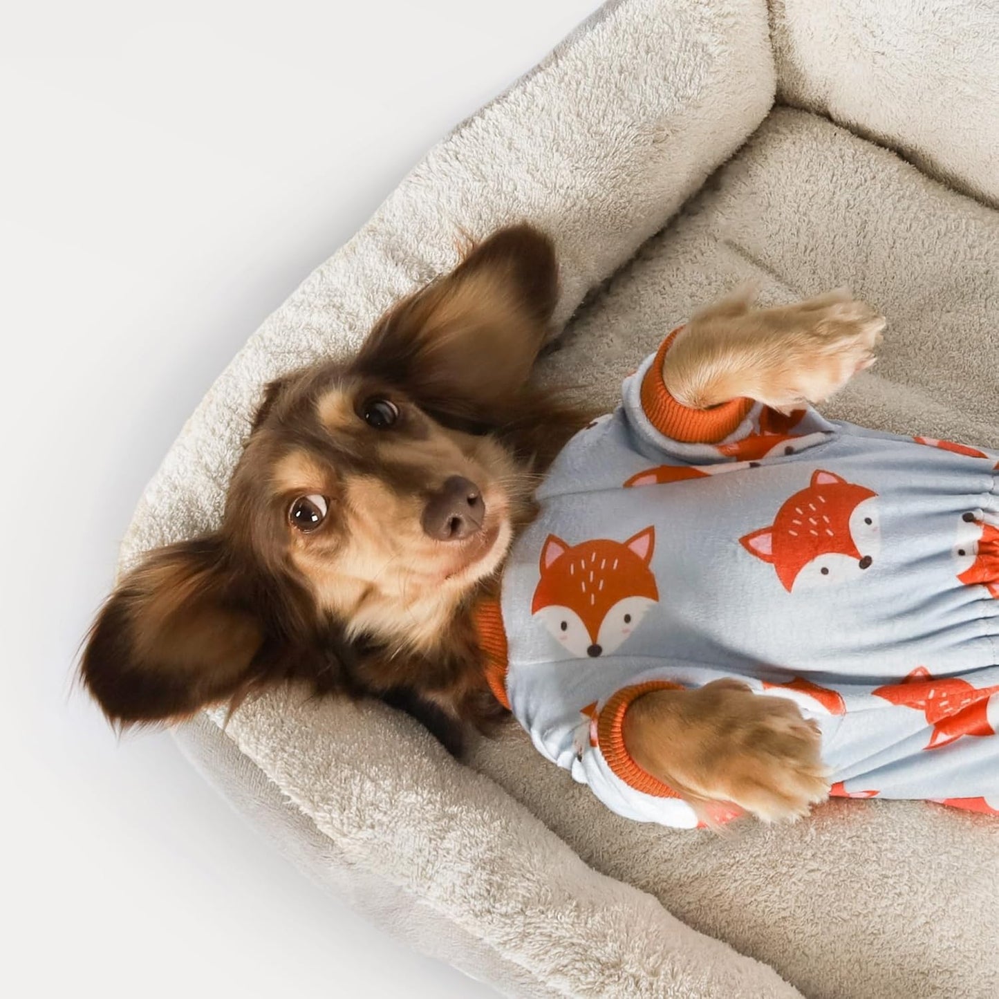 Fitwarm Funny Fox Dog Pajamas, Warm Dog Onesie, Dog Clothes for Small Dogs Girl Boy, Lightweight Velvet, Pet Outfit, Gray, Orange, XS