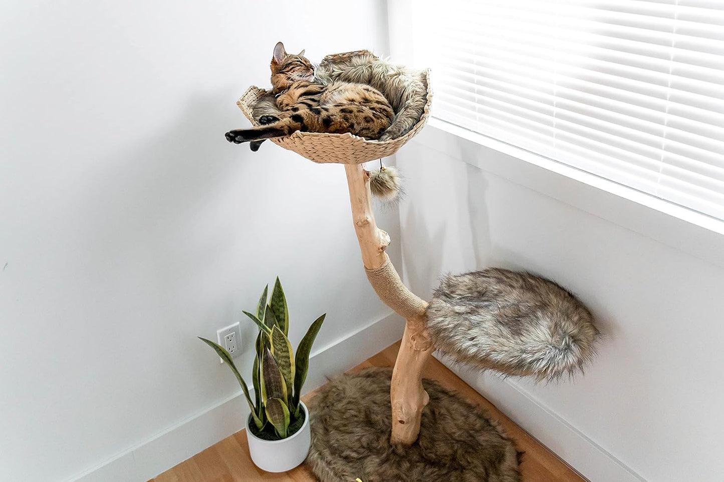 Wooden Cat Tree Tower, Modern Single Branch Cat Condo, Wood Cat Tree, Cat Climbing, Furniture for Cat, Cat Lover Gift, Cat Furniture,Cat Gift by MAU LIFESTYLE (Brown)
