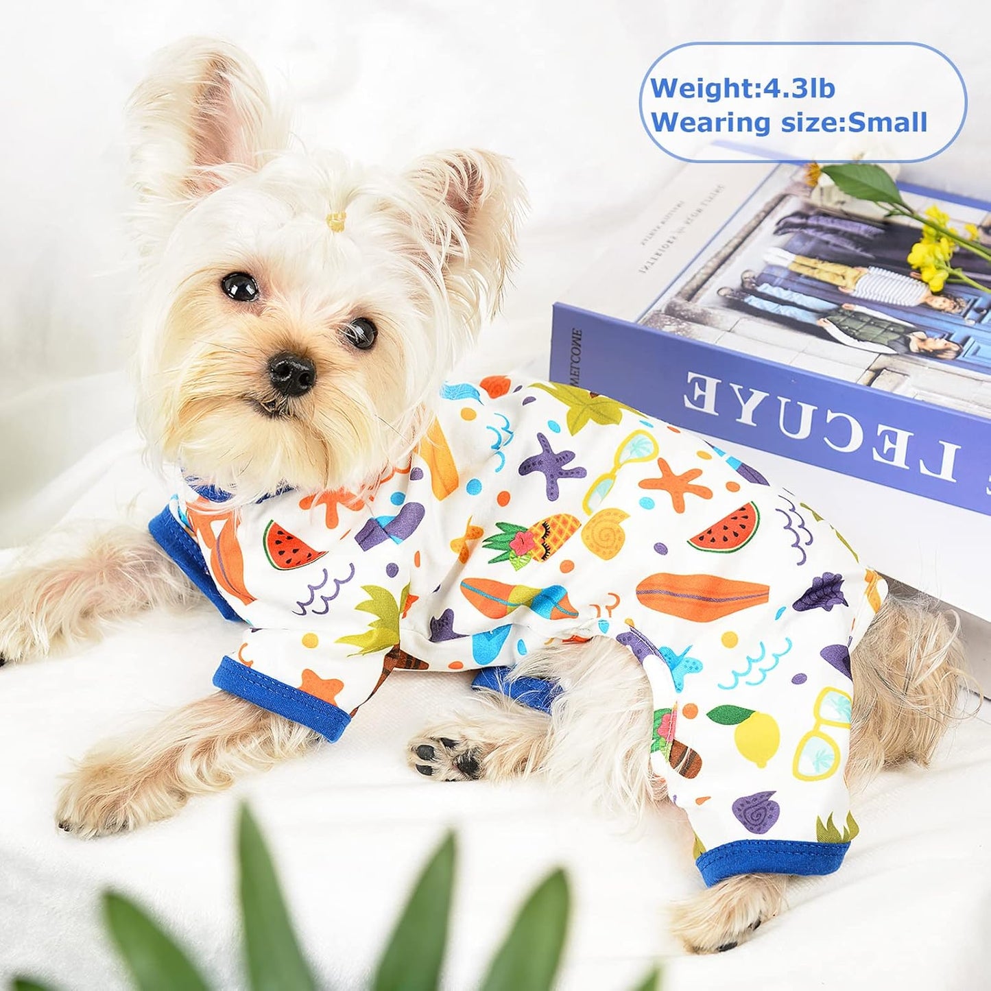 Dog Pajamas Pjs Fall Summer Dog Clothes for Small Dogs Girl - Boy - Medium Size Dogs, Soft Stretchy Puppy Clothes Doggie Onesies Cat Pet Jammies Outfit (Beach, X-Large)