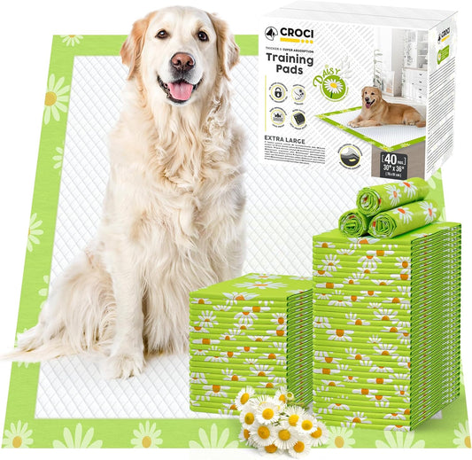 CROCI Pee Pads for Dogs 30x36in Daisy Pattern, Puppy Pads with Adhesive Tabs Super Absorbent Up to 10 Cups, Disposable (40 Counts)