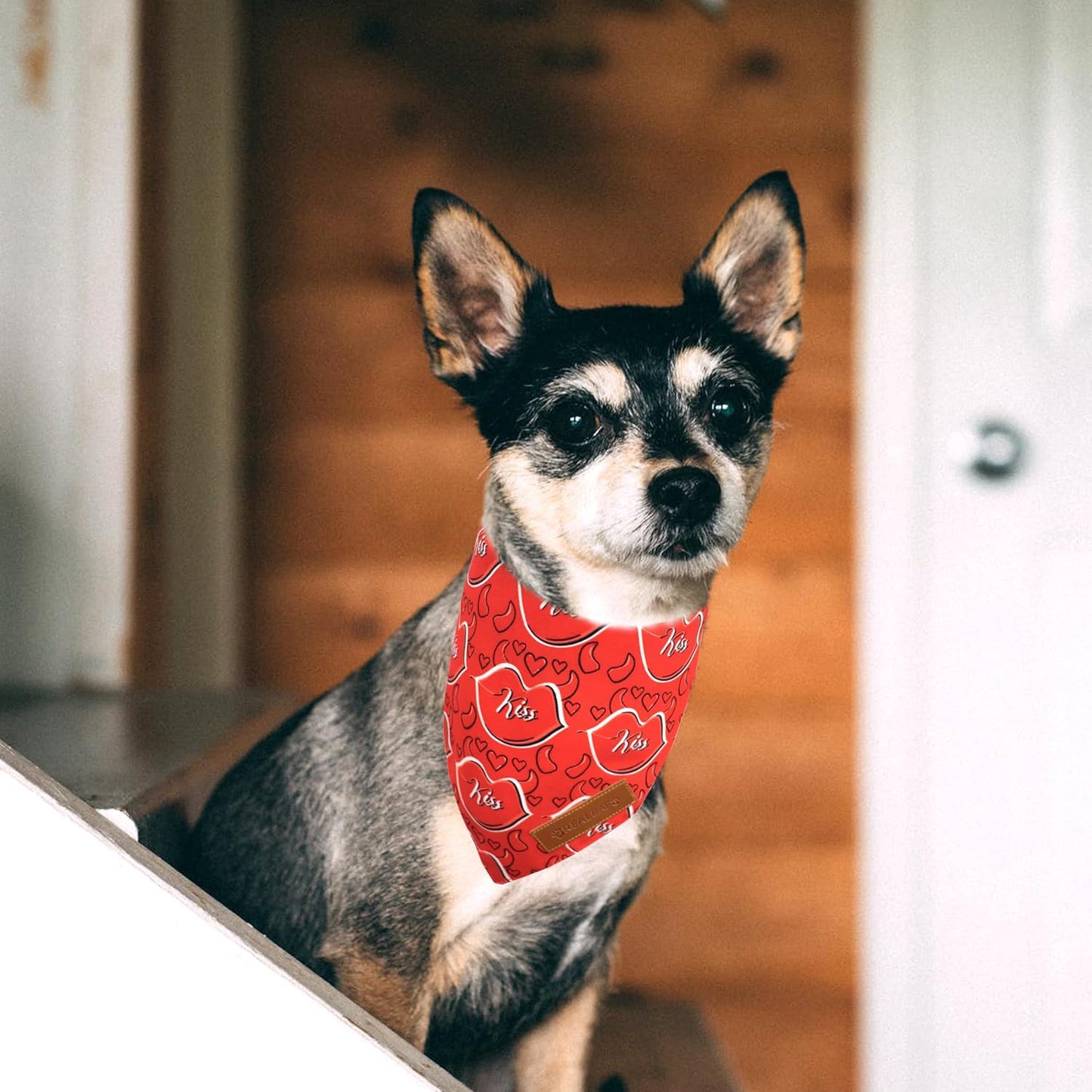 Realeaf Valentine's Day Dog Bandanas 2 Pack, Reversible Heart Dog Scarf for Boy and Girl, Premium Durable Fabric, Holiday Love Bandana for Large and Extra Large Dogs Pets (X-Large)
