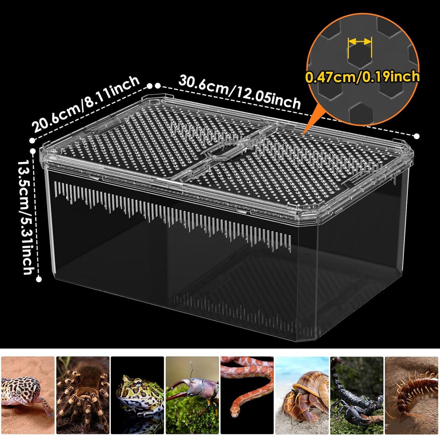 Breathable and Secure Reptile Tank with high Transparency - Ideal Container House for Hermit Crab, Tarantula Enclosure, Turtle Tank or Jumping Spider Habitat (L)