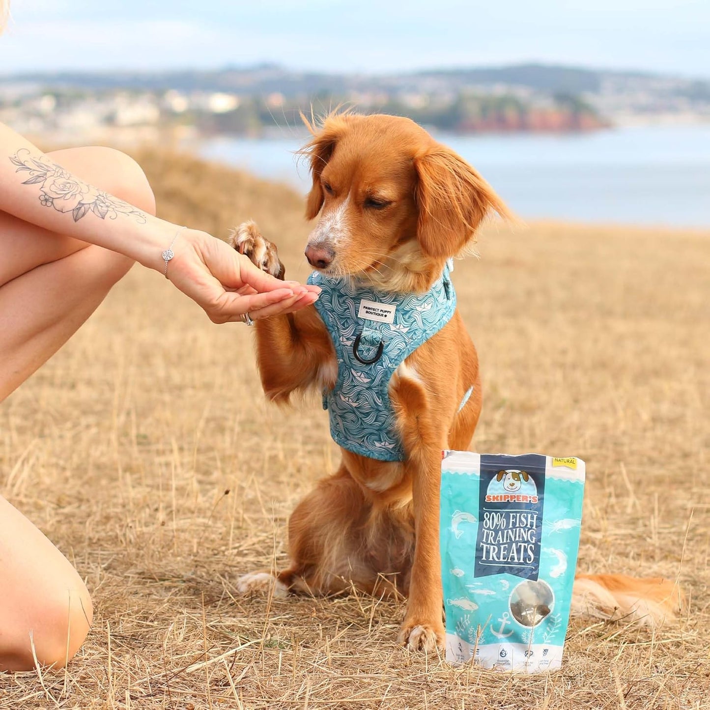 SKIPPER'S Fish Training Treats for Dogs - 80% Steamed Salmon & Trout, Grain Free Puppy Training Treats, All Natural Ingredients No Additives, Good for Digestion, Rich in Omega 3 | 3.5 Oz