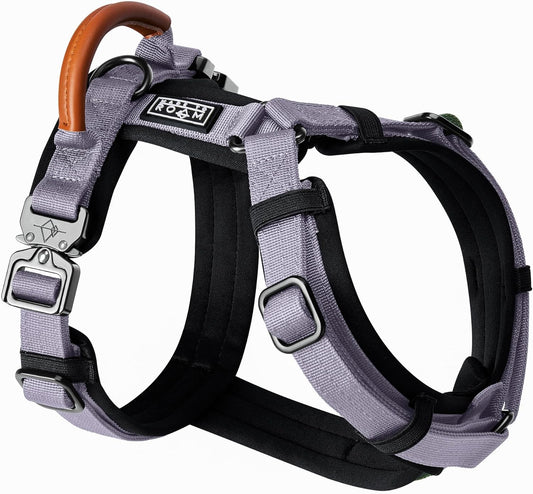 MADE TO ROAM Premium Explorer Harness - Y-Shaped Dog Harness with Adjustable Durable Nylon, Soft Padding, Metal Buckles and Leather Handle for Small, Medium, Large Dogs (Montana Moonrise, Size 5)
