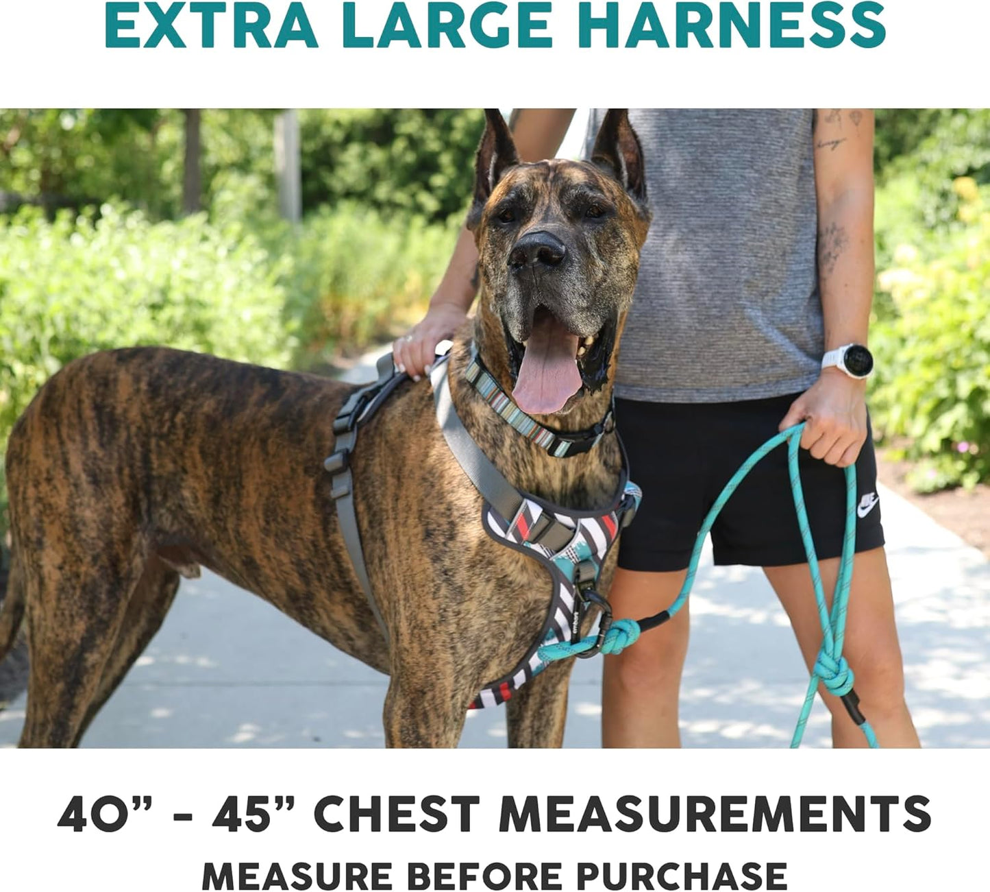 Embark Adventure Dog Harness, Reflective Trim XL Dog Harness for Extra Large Dogs No Pull - Military Grade Nylon, 2 Leash Clips & Gel Lined Handle.
