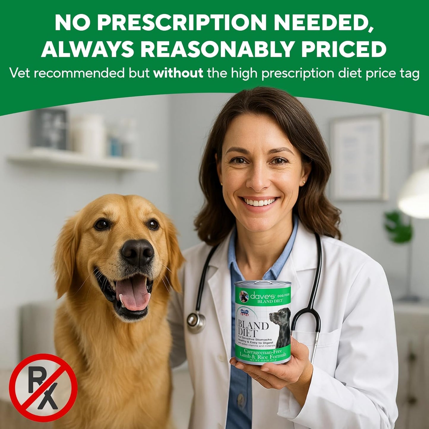 Dave's Pet Food Bland Dog Food (Lamb & Rice), Canned Wet Dog Food for Sensitive Stomachs, Gluten-Free, Digestive Care, 13.2 oz (Case of 12)