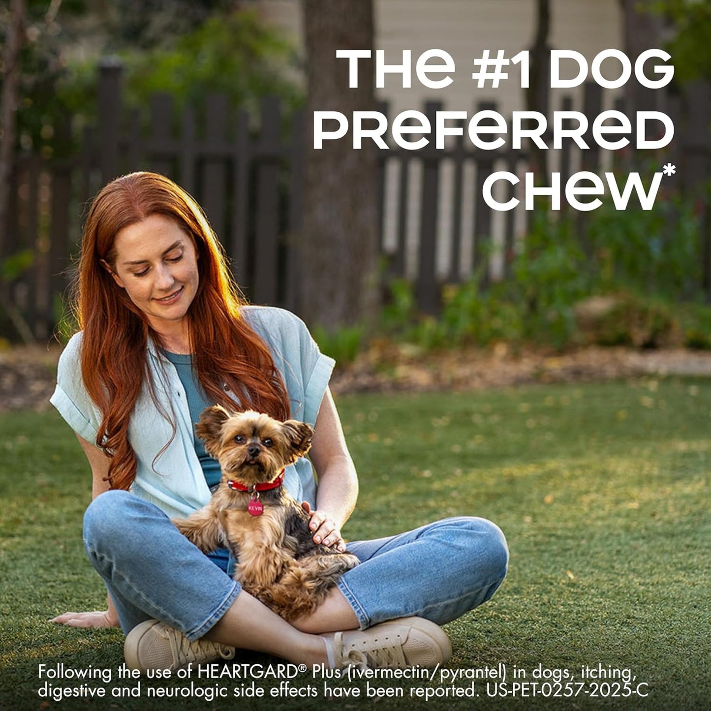 HEARTGARD® Plus (ivermectin/pyrantel) Real-Beef Chewables for Dogs up to 25 lbs (Blue Box) 6 Month Supply of Chews (Heartworm Disease Preventive)