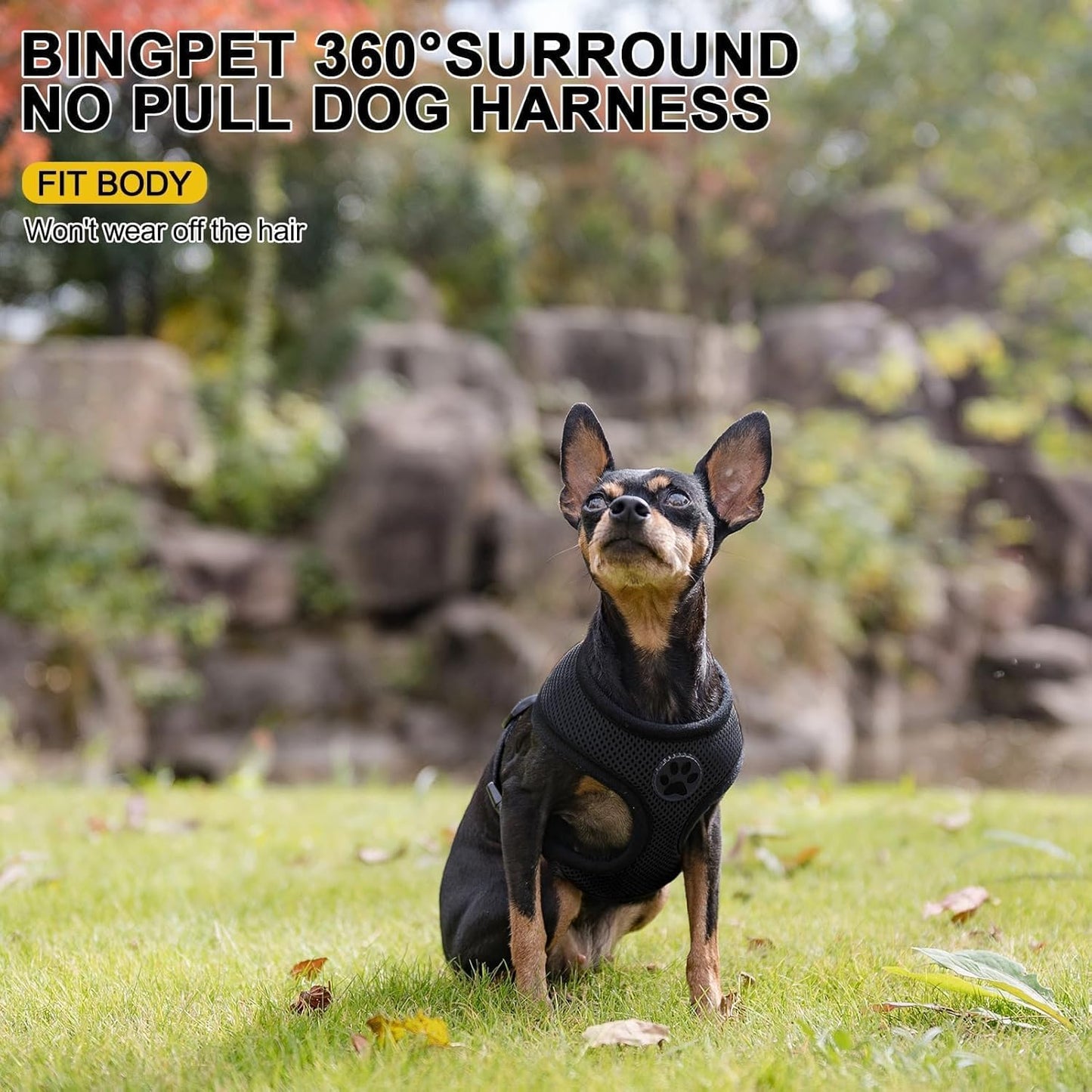 BINGPET Small Dog Harness - Breathable Mesh Puppy Cat Harnesses - No Pull Adjustable Dog Harness Dog Vest Harness for Small and Medium Dogs