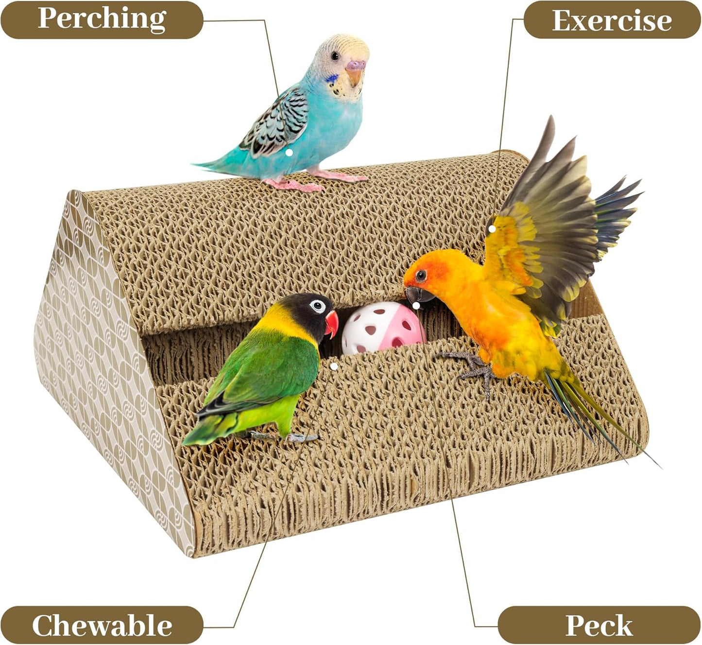 OSWINMART Parrot Cardboard Toy with Jingle Ball