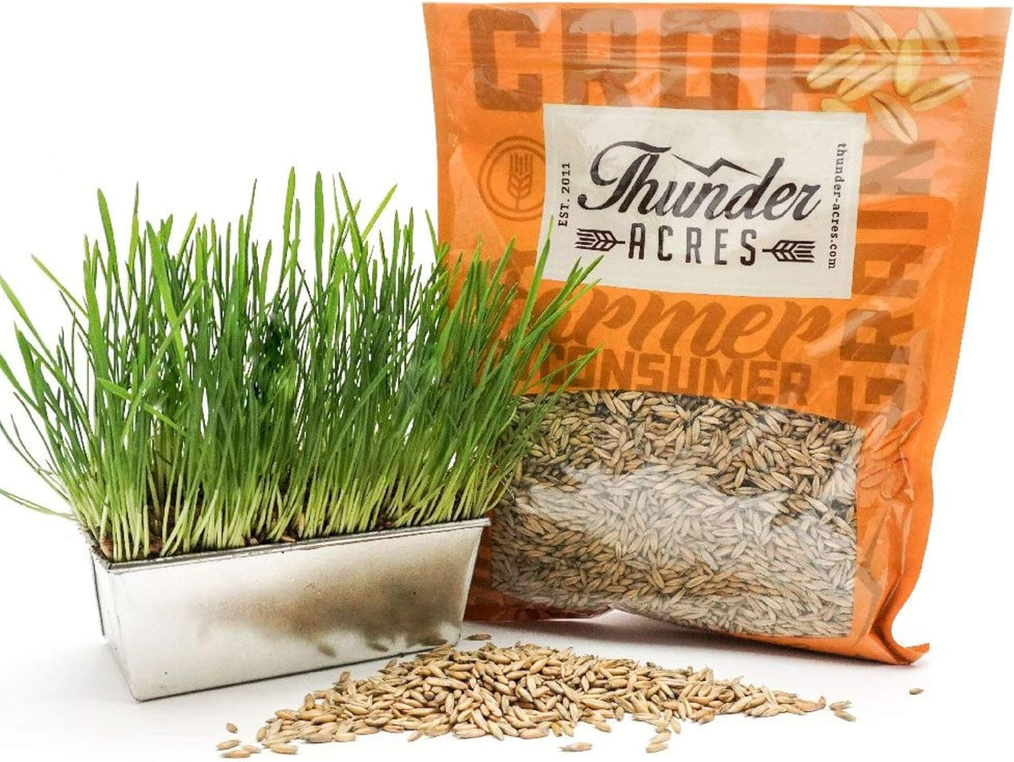 Thunder Acres Non GMO, Certified Organic, Oat Seed (2 lb.)