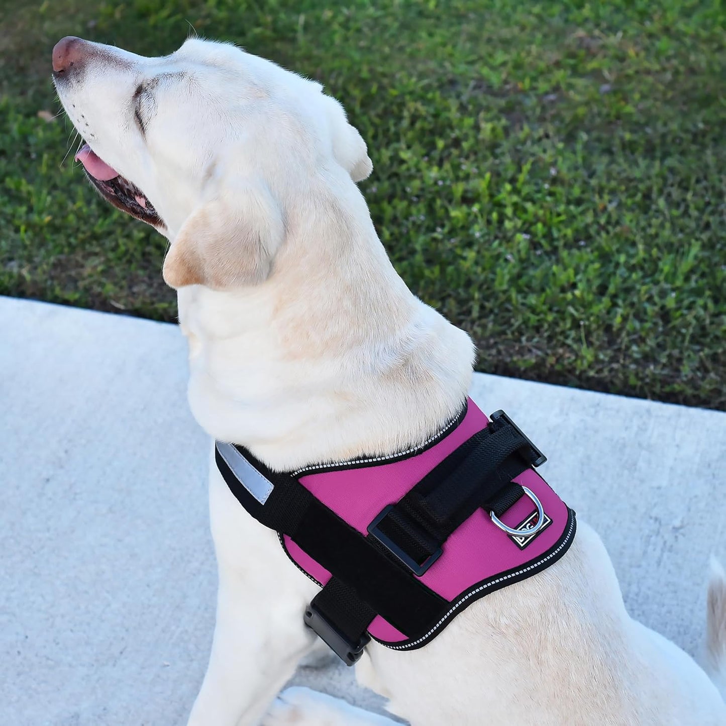 Dogline Reflective No-Pull Adjustable Vest with Handle for Walking, Training, Service Breathable No - Choke Harness for Small, Medium or Large Dogs Room for Patches Girth 15 to 18 in Pink