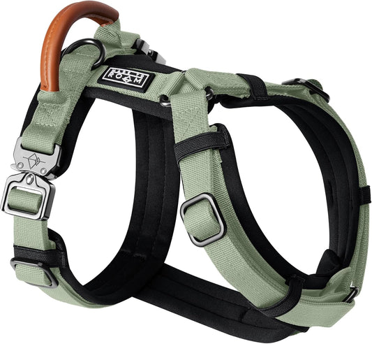 MADE TO ROAM Premium Explorer Harness - Y-Shaped Dog Harness with Adjustable Durable Nylon, Soft Padding, Metal Buckles and Leather Handle for Small, Medium, Large Dogs (Washington Rain, Size 4)