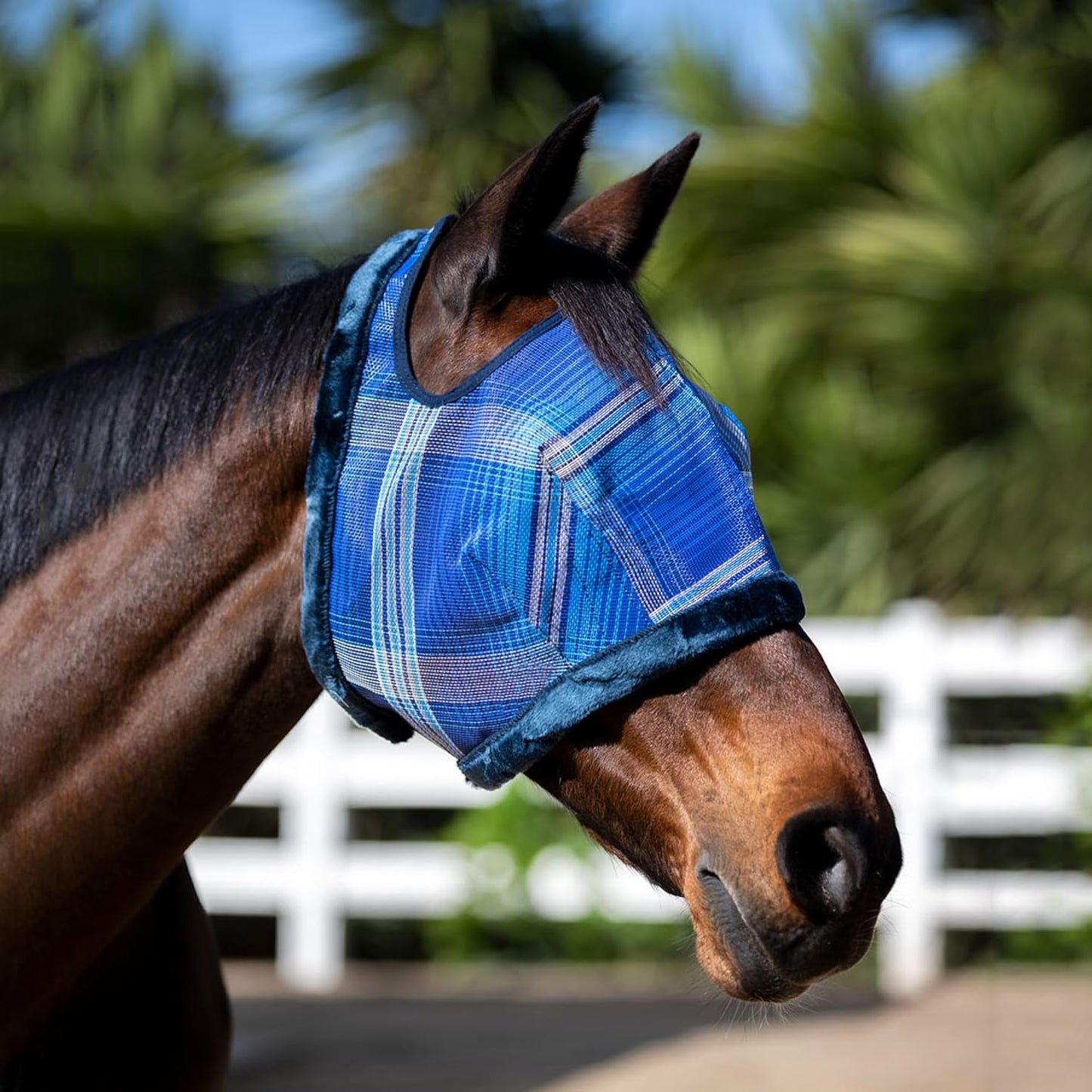 Kensington Fly Mask with Fleece Trim for Horses — Protects Face and Eyes from Flies and Sun Rays While Allowing Full Visibility — Breathable and Non Heat Transferring, Medium, Kentucky Blue
