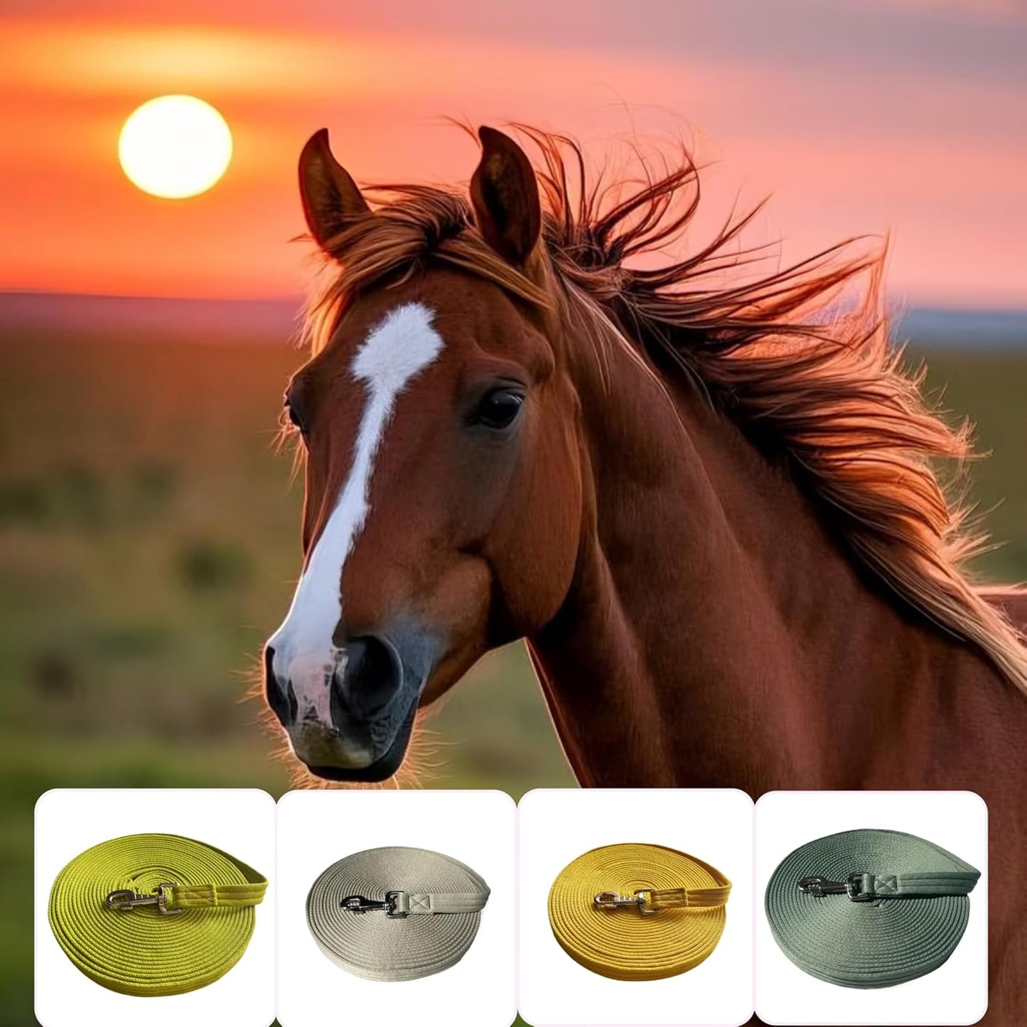 Horse Training Lunge Line with Alloy Trigger Buckle for Accurate Equestrian Training of 32.8 ft(10 Meters)