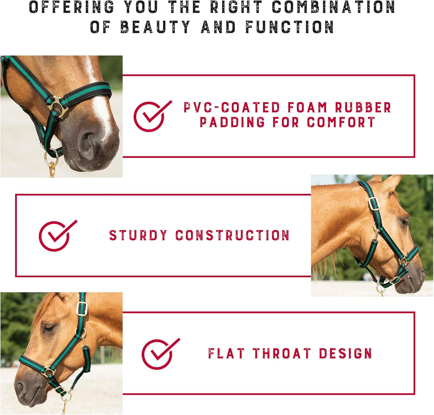 Weaver Leather Nylon Horse Halter, Padded and Adjustable, Chin and Throat Snap Hook Halters for Horses, Brass Plated Halters for Training