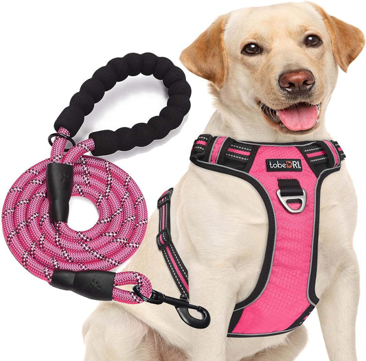 No Pull Dog Harness Adjustable Reflective Oxford Easy Control Medium Large Harness with A Free Heavy Duty 5ft Dog Leash (L (Neck: 18"-25.5", Chest: 24.5"-33"), Pink)