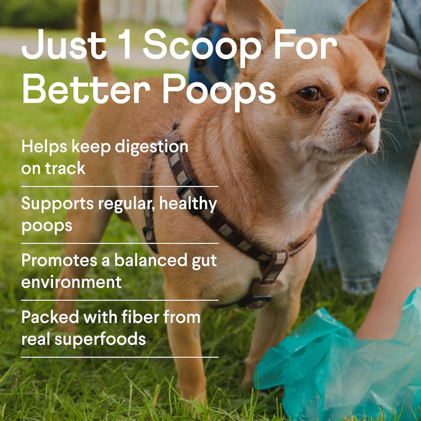 Finn Pumpkin Plus: Daily Digestive Support & Fiber-Rich Topper for Dogs | Promotes Regularity & Gut Health with Superfoods