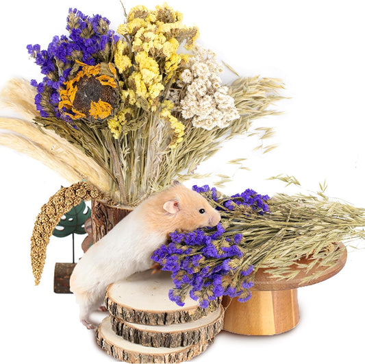 Natural Ear of Grain Flower&Herb Bedding Mate Habitat Decor, Adding Fun Hamster Accessories for Hamsters Gerbils Lemming