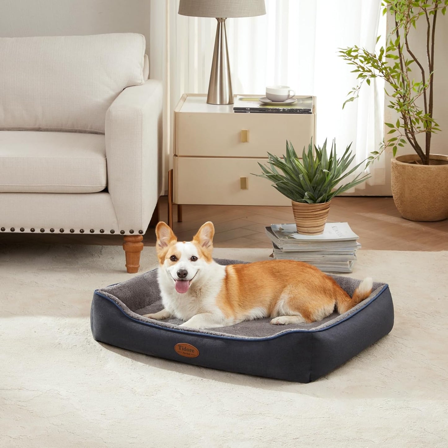 Orthopedic Dog Beds for Medium Dogs, Durable Egg Crate Foam Sofa Dog Bed wit Washable Removable Cover,Waterproof Lining,Pet Bed for Large Dogs (Navy Blue-Velvet, 31.5" L x 25.2" W x 7" Th)