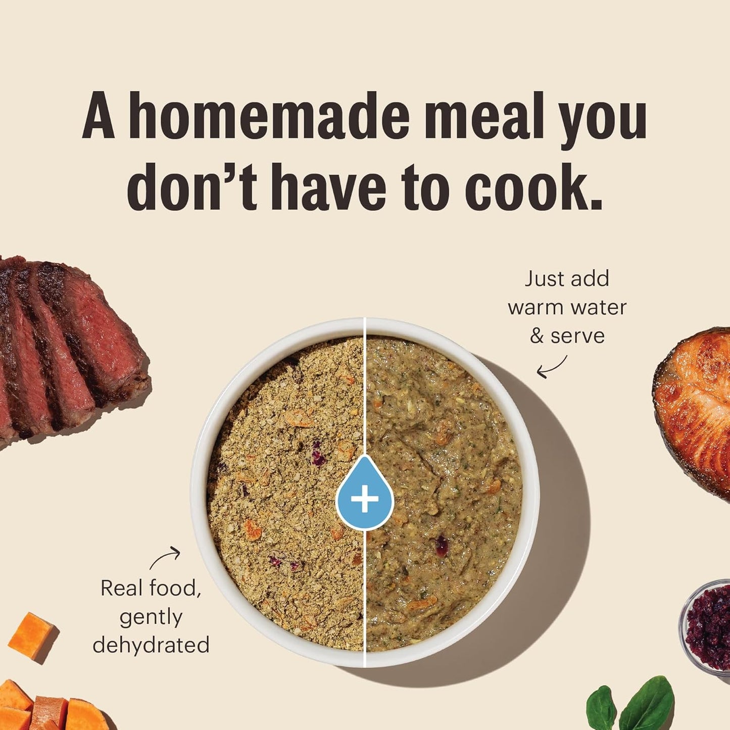 The Honest Kitchen Wholemade™ Grain Free Beef Dog Food, 4 lb Box