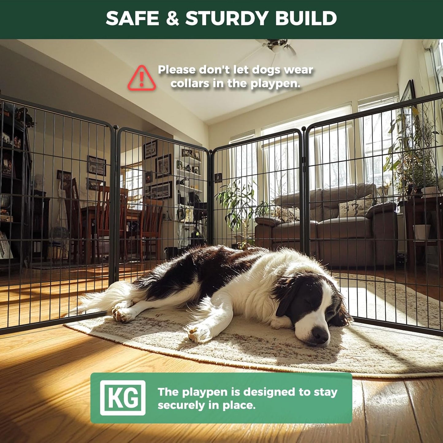 FXW Homeplus Unleashed Indoor Dog Playpen - Stress-Free and Safe Play, Heavy Duty 40 Inch 16 Wire Panels Dog Pen for Medium and Large Dogs, Black│Patented