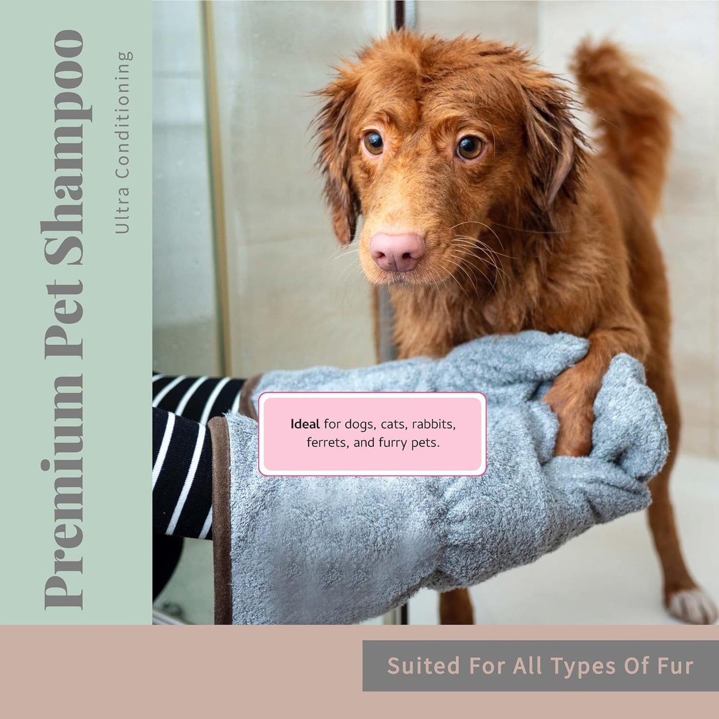 Begley's No Rinse Waterless Pet Shampoo, Bathless Cleaning, Deodorizing, and Odor Removal for a Shiny, Fresh Smelling Coat - Effective for Dogs, Puppies, and Cats - Fresh Lavender, 2 Pack