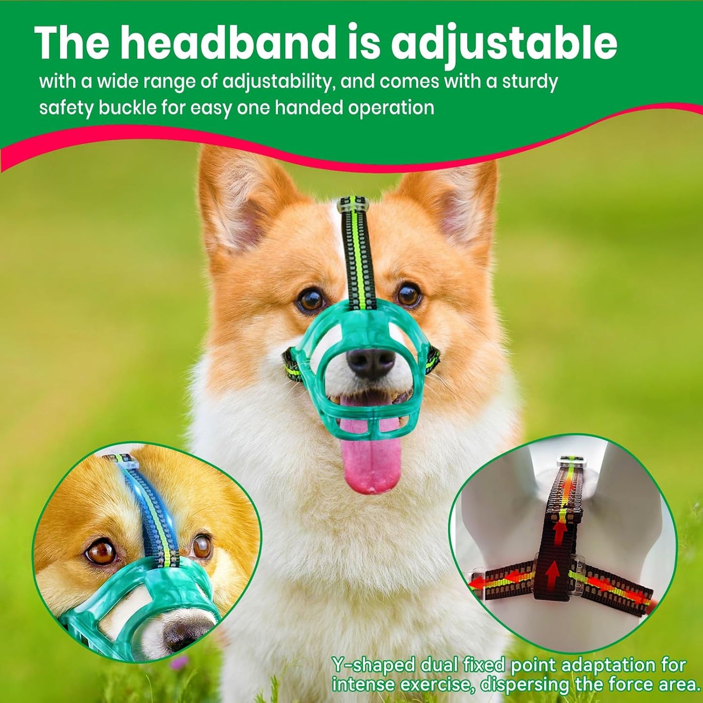 Dog Muzzle, Basket Muzzle for Small Medium Large Dogs, Anti-Biting and Chewing, Lightweight & Sturdy Cage Design, Allows Panting & Drinking, Ideal for Grooming & Training(Green Size M)