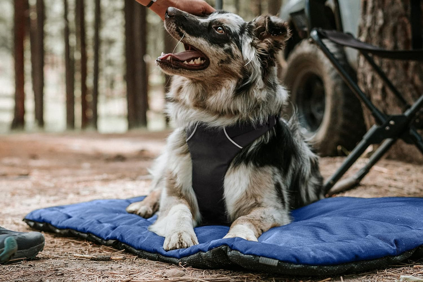 K9 Ballistics Tough Ripstop Dog Crate Pad - Durable & Machine Washable with Non-Skid Bottom and 120-Day Warranty, Fits 24" Wire Crates - X-Small, Blue Quartz