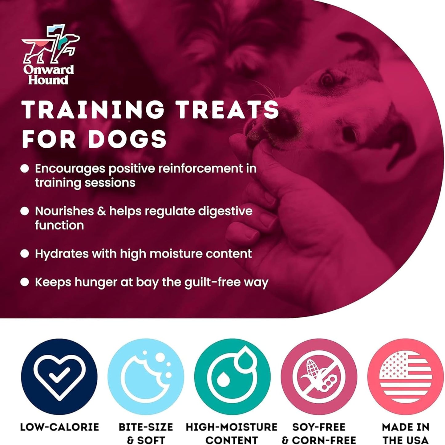 Onward Hound Training Treats for Dogs - Soft Salmon - Low Calorie Dog Training Treats for Sensitive Stomachs with Single Source Premium Protein, Corn Free, & Soy Free Formula - 10 oz