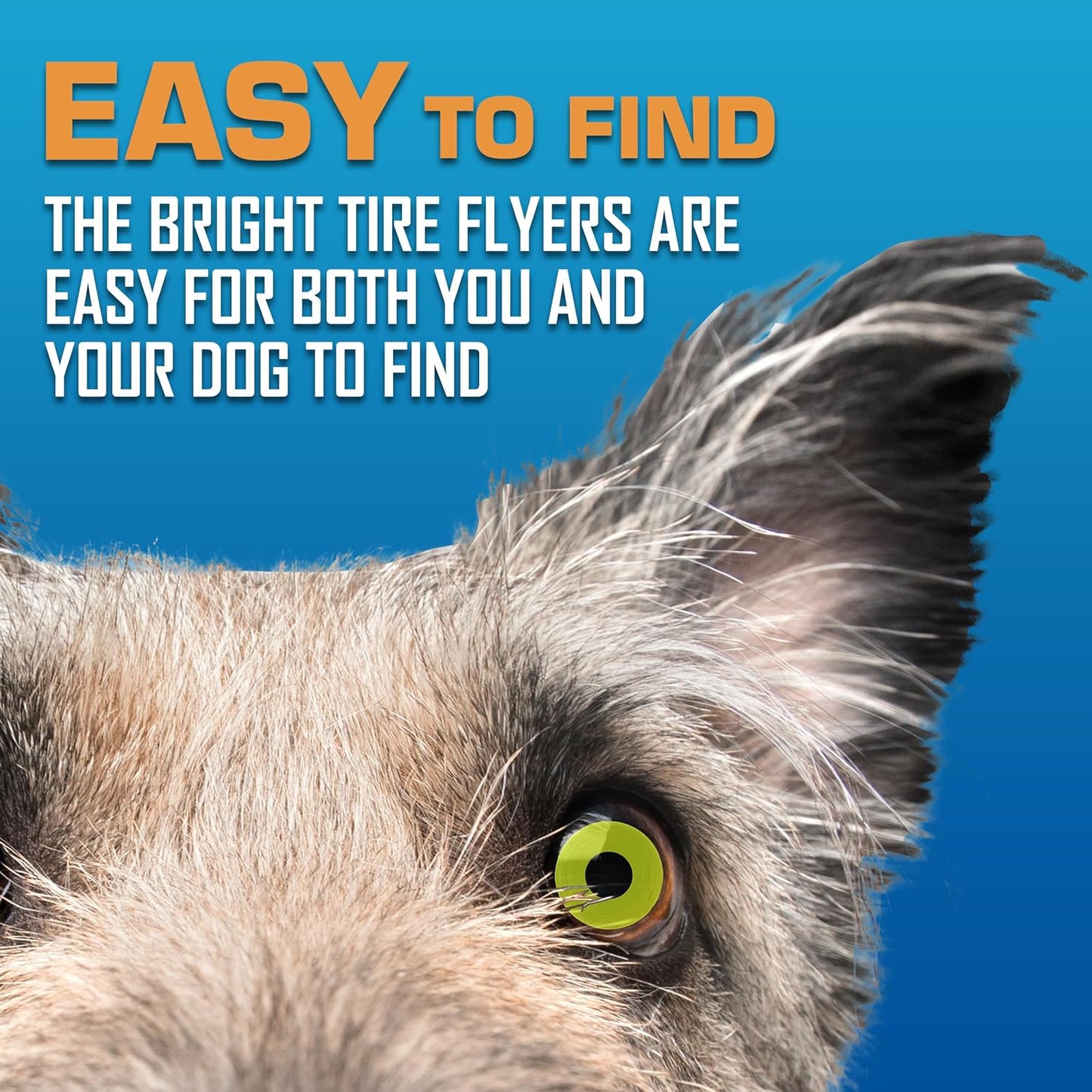 Nerf Dog Tire Flyer Dog Toy Gift Set, 10 Inch Flying Disc Dog Fetch Toys, Rubber Dog Toy for Medium Dogs and Large Dogs, Red, Translucent Green and Translucent Blue, 3 Count