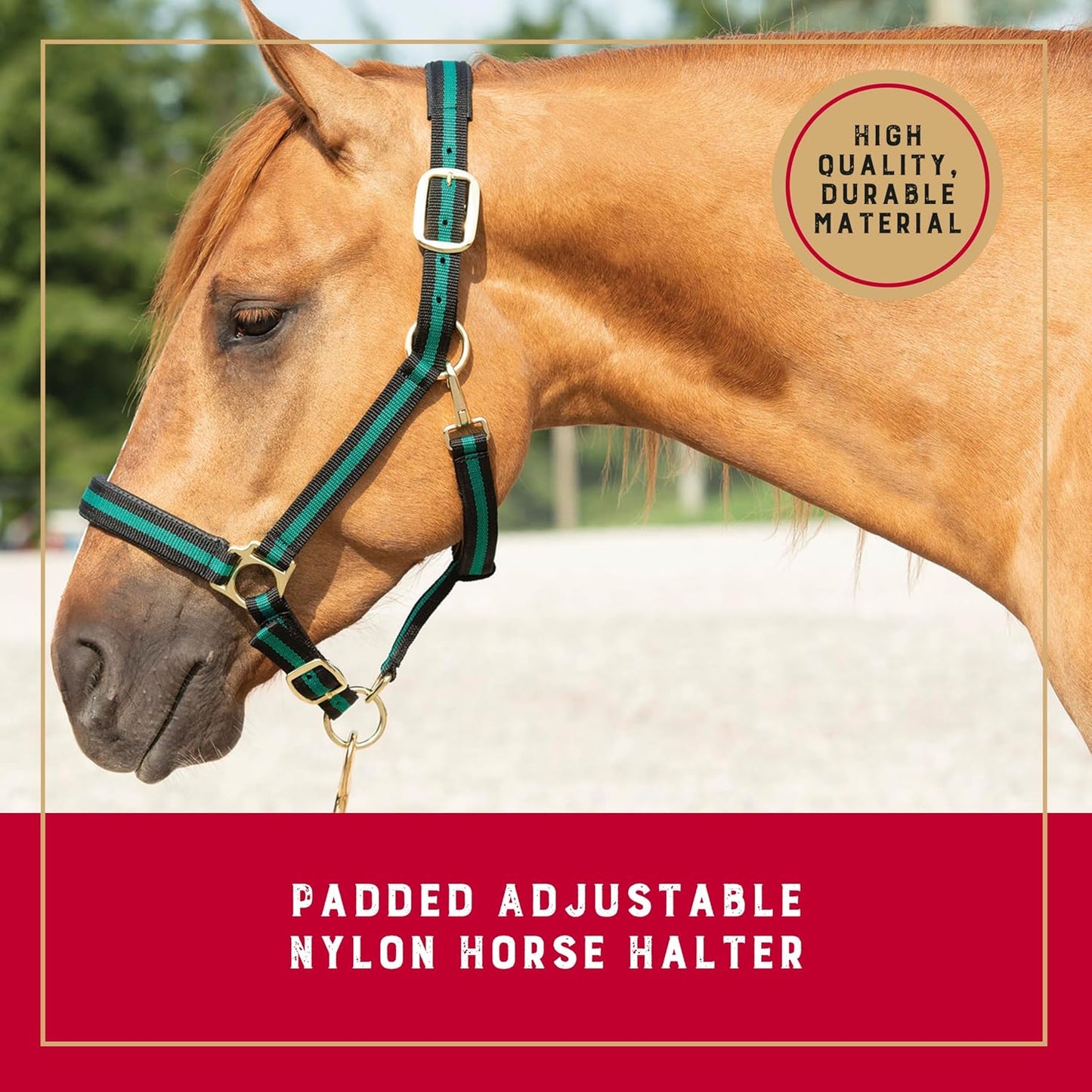 Weaver Leather Nylon Horse Halter, Padded and Adjustable, Chin and Throat Snap Hook Halters for Horses, Brass Plated Halters for Training