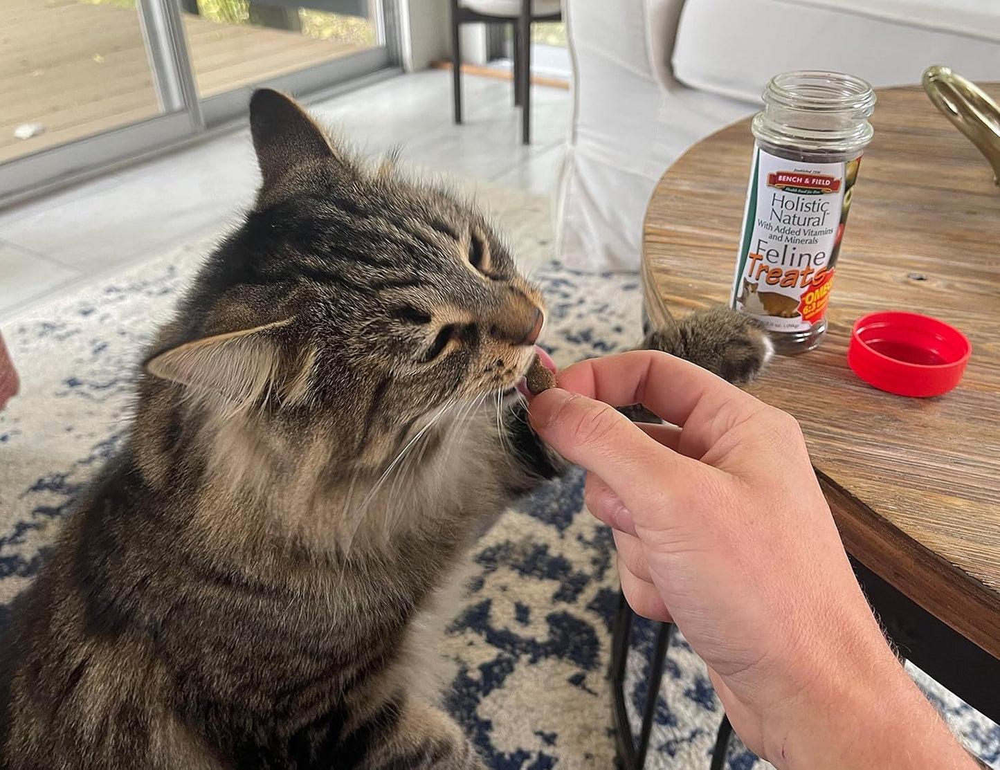 Bench & Field Holistic Natural Healthy Kitty Cat Treats | Crunchy Fish-Shaped Bites | Delicious Seafood Flavored Snack, 3-Ounce (Pack of 12 Bottles)