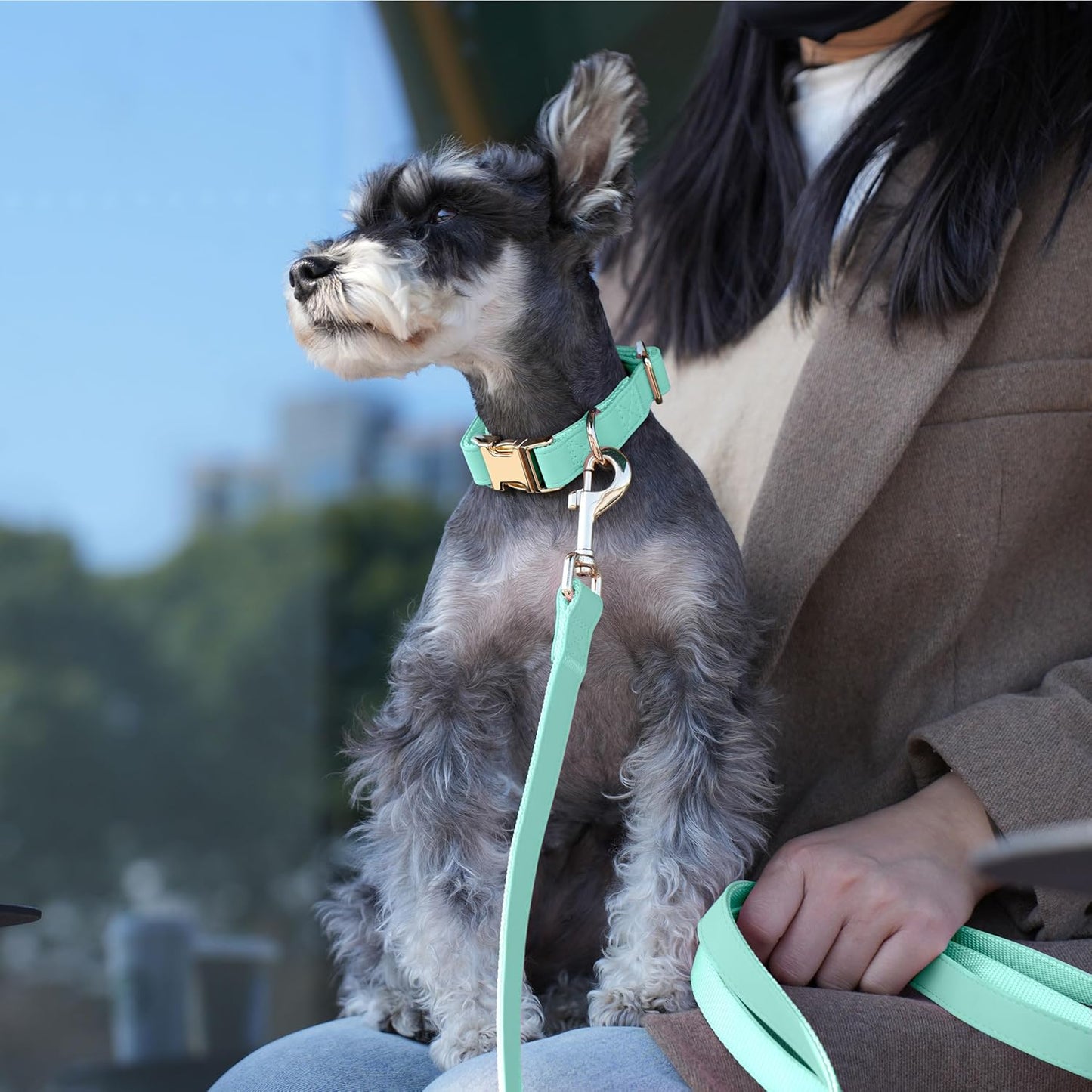 PET ARTIST Soft PU Leather Dog Collar, Bright Color & Durable Dog Collar Leather with Rose Gold Quick Release Metal Buckle, Adjustable Nylon Padded Pet Collars for Large Dogs, Neck Fit 16-27"