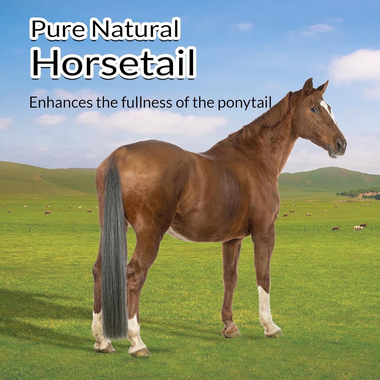 Horse Tail Extension with Braided Horsehair Loop, Blunt Cut Bottom, 3/8 lb, 28-30 inches (dark gray)