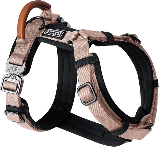 MADE TO ROAM Premium Explorer Harness - Y-Shaped Dog Harness with Adjustable Durable Nylon, Soft Padding, Metal Buckles and Leather Handle for Small, Medium, Large Dogs (Utah Glow, Size 6)
