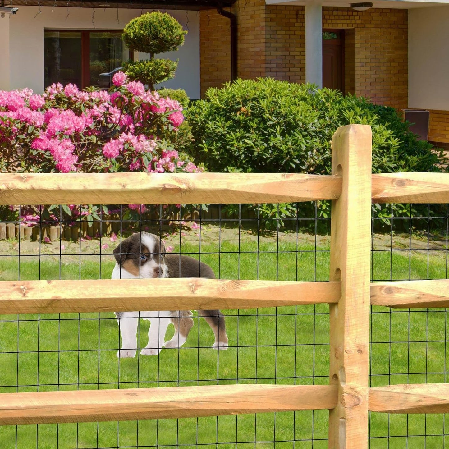 Black PVC Coated Welded Wire Fence 48 Inch x 50 Foot, 2 Inch x 3 Inch 16GA, Garden Border Fencing Roll Vinyl Coating Metal Wire Mesh for Yard Vegetable Plant Protection Poultry Netting