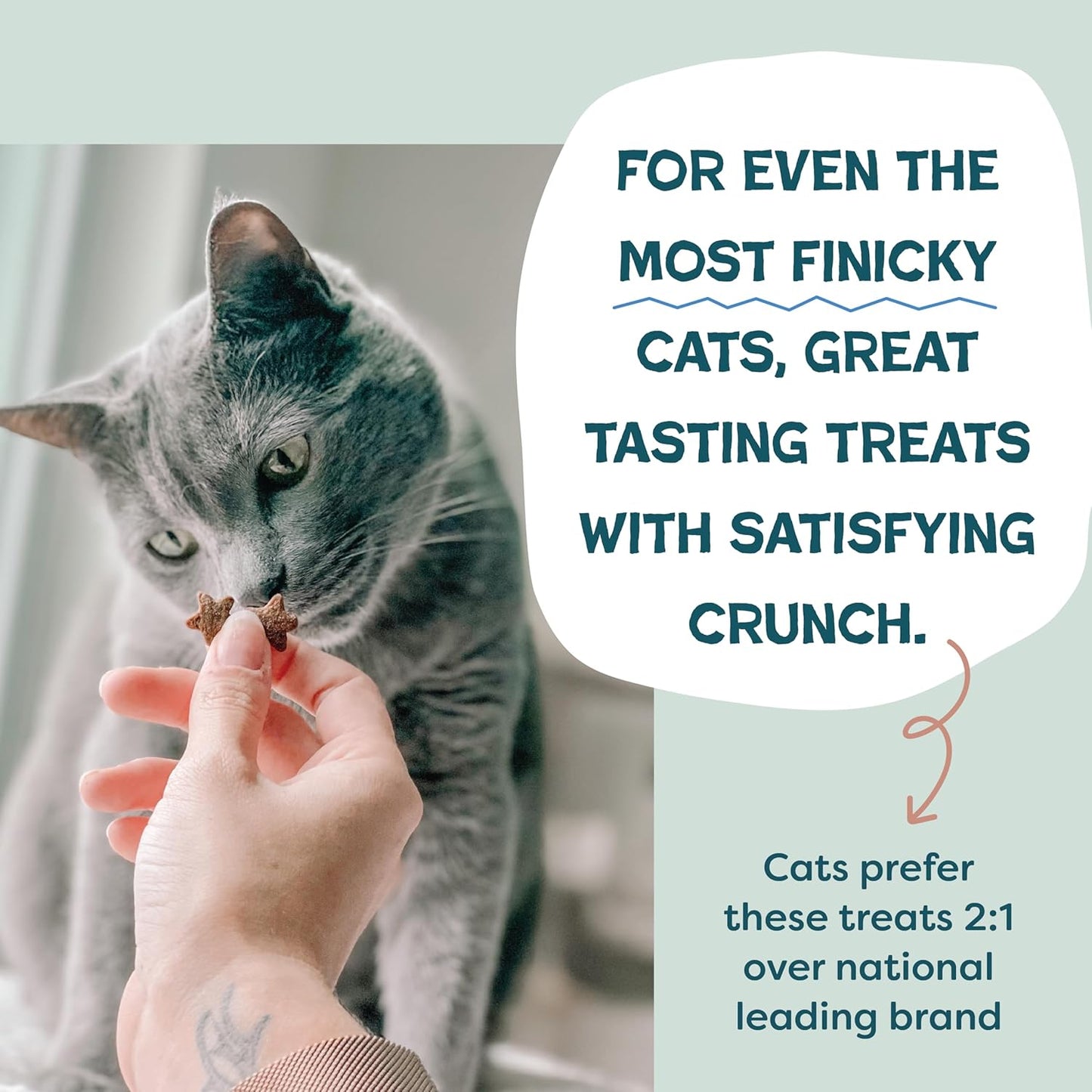 Shameless Pets Crunchy Cat Treats - Kitty Treats for Cats with Skin & Coat Support, Natural Ingredients Kitten Treats with Real Salmon, Healthy Flavored Feline Snacks - Yam Good Salmon, 1-Pk