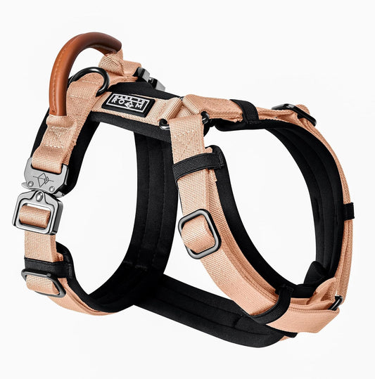 MADE TO ROAM Premium Explorer Harness - Y-Shaped Dog Harness with Adjustable Durable Nylon, Soft Padding, Metal Buckles and Leather Handle for Small, Medium, Large Dogs (Carolina Blooms, Size 3)