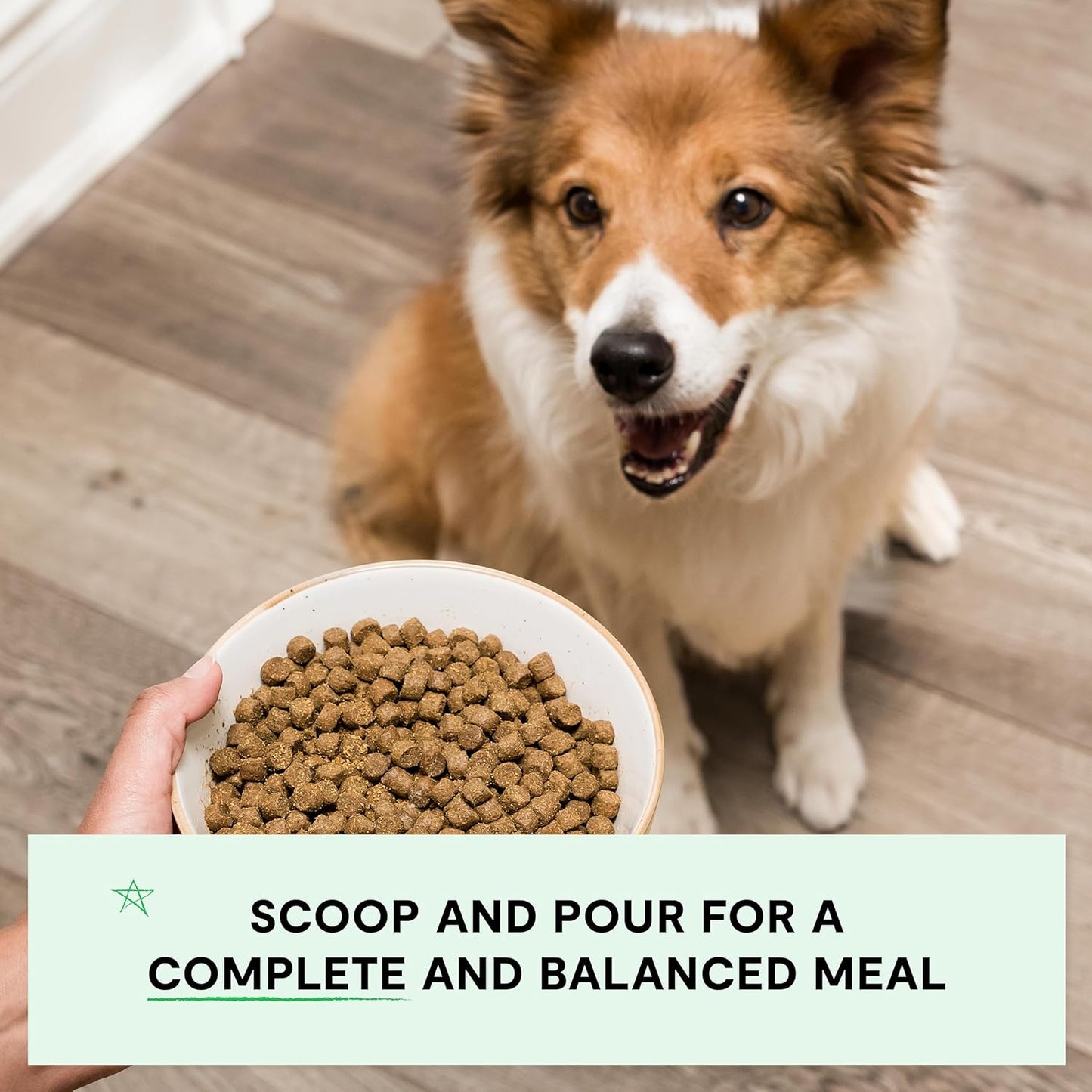 Open Farm, Grain-Free Dry Dog Food, Complete & Balanced Kibble, Sustainably & Ethically Sourced Ingredients, Non-GMO Veggies & Superfoods to Support Overall Health, Grass-Fed Beef Recipe, 11lb Bag