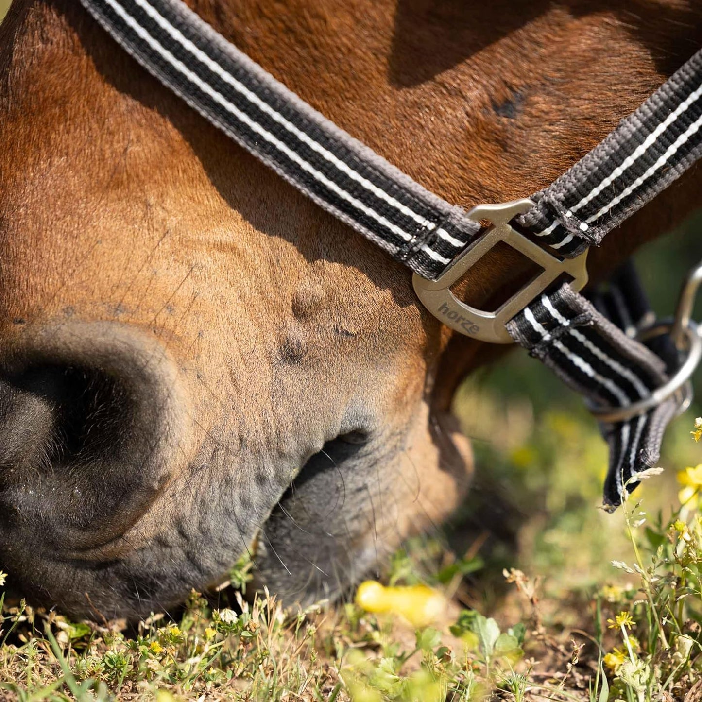 HORZE Adepto Adjustable Horse Halter | Soft, Durable Polyester - Dark Navy - Warmblood